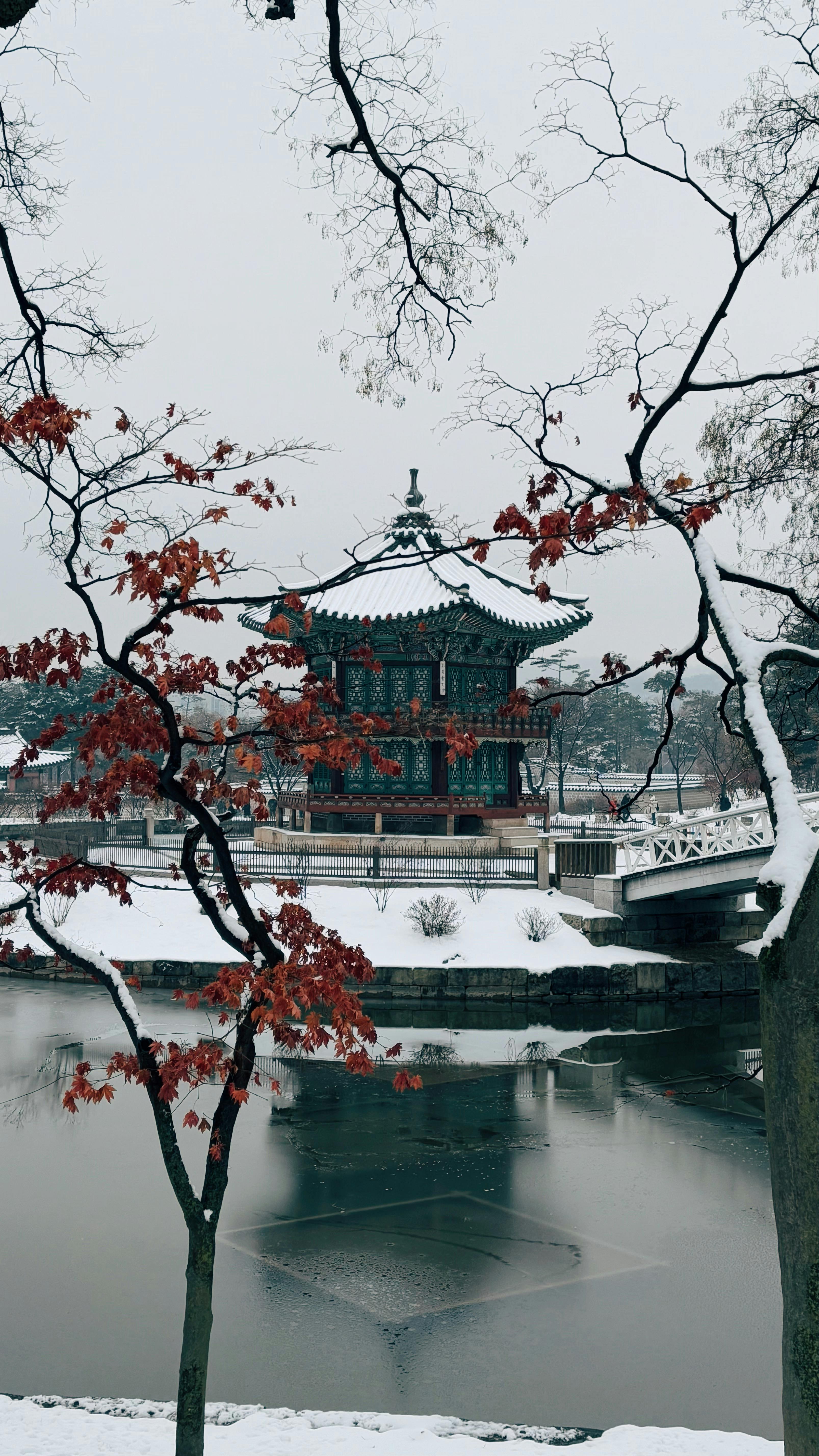 Manger de saison en Corée - Hiver